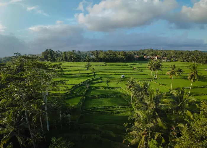 Dewi Tara Haven